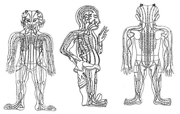 Método Canais Secundários Este tratamento é realizado através dos Canais Secundários Tendino-Musculares que circulam pelos músculos e tendões, com ramificações nos