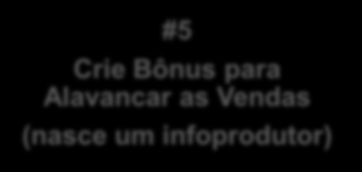 VISÃO ESTRATÉGICA DE NEGÓCIOS #1 Relacionamento com Produtor-Chave #5 Crie Bônus para Alavancar as Vendas (nasce um infoprodutor)