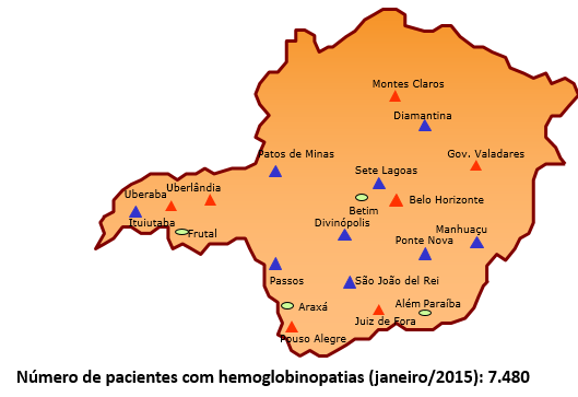 A Rede HEMOMINAS A Fundação HEMOMINAS se organiza através de uma rede descentralizada, hierarquizada e integrada, sendo constituída por 23 unidades distribuídas no Estado de Minas