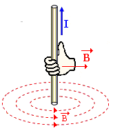 Campo magnético gerado por corrente elétrica Fio retilíneo e longo: O sentido das linhas de campo magnético é determinado pela regra da mão direita.