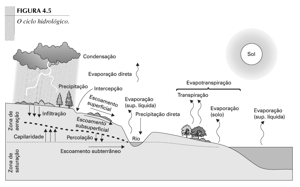 Ciclo