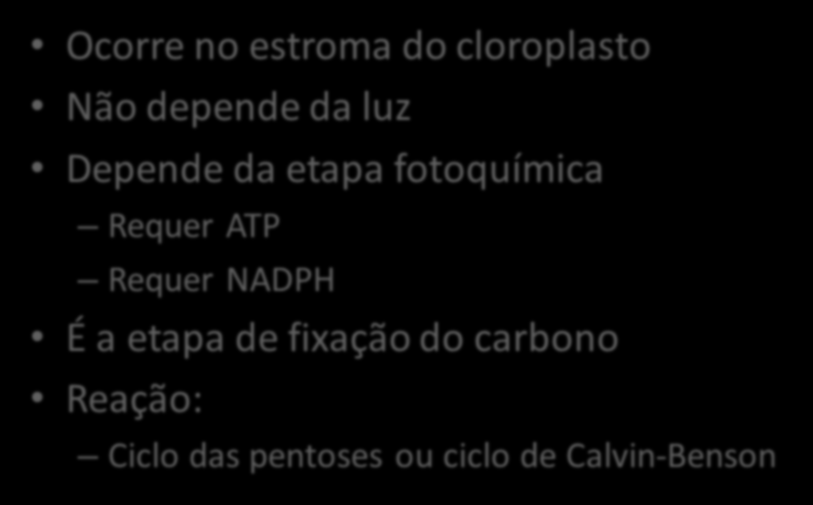 B) ETAPA QUÍMICA Ocorre no estroma do cloroplasto Não depende da luz Depende da etapa fotoquímica