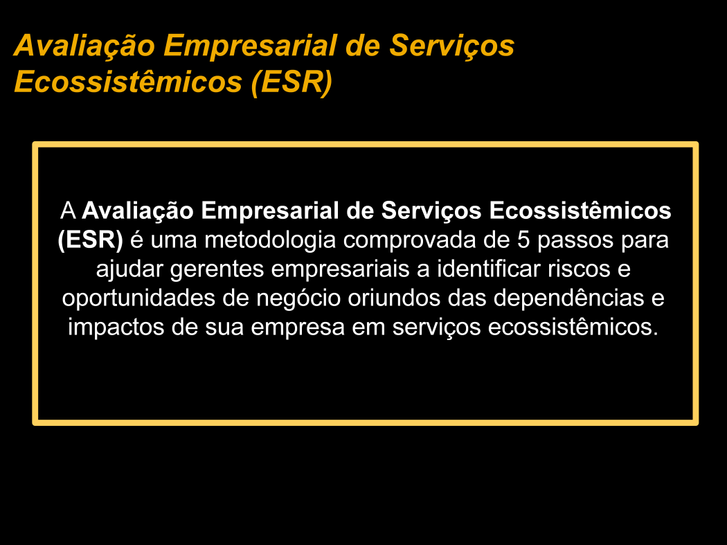Essencialmente, a Avaliação Empresarial de Serviços Ecossistêmicos (ESR) ajuda os gestores a avaliar impactos e dependências de serviços ecossistêmicos, a identificar riscos e oportunidades