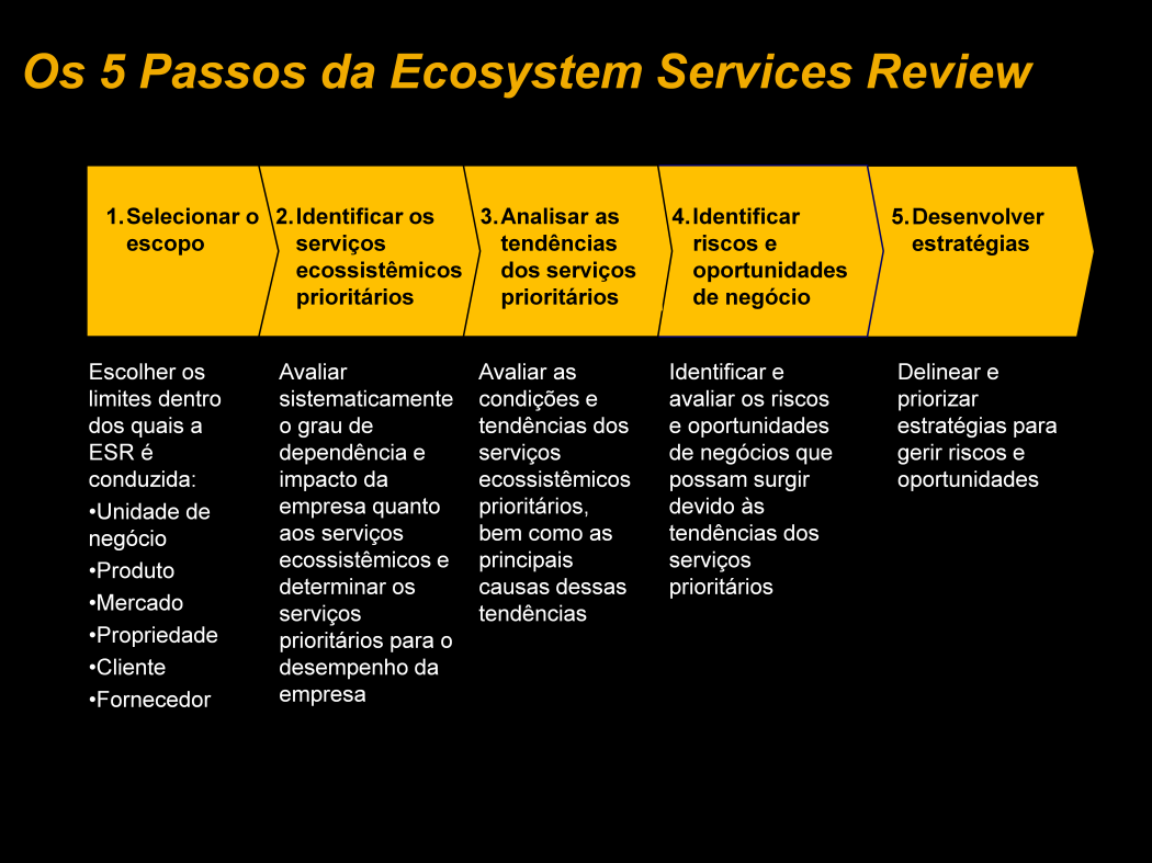 PASSO 1. SELECIONAR O ESCOPO Para manter o processo ESR focado e gerenciável, o primeiro passo é selecionar um escopo de avaliação que seja estratégico, oportuno e apoiado internamente pela companhia.