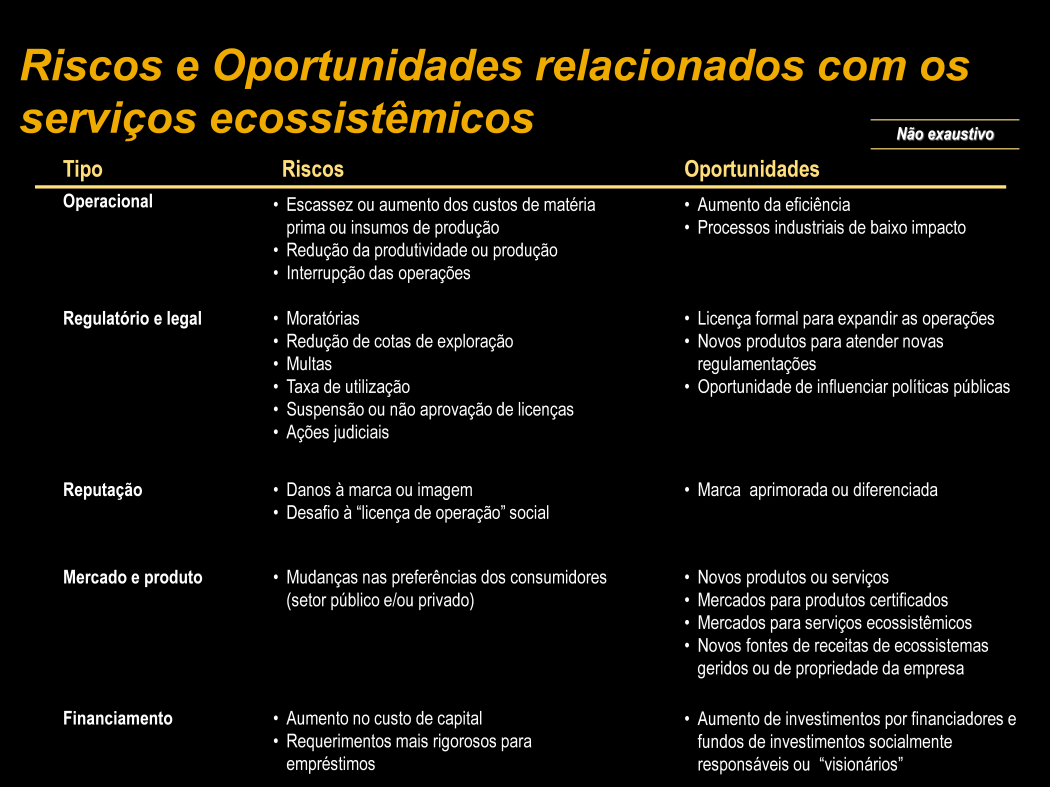 O quarto passo é avaliar as implicações para a empresa das tendências nos serviços ecossistêmicos prioritários.