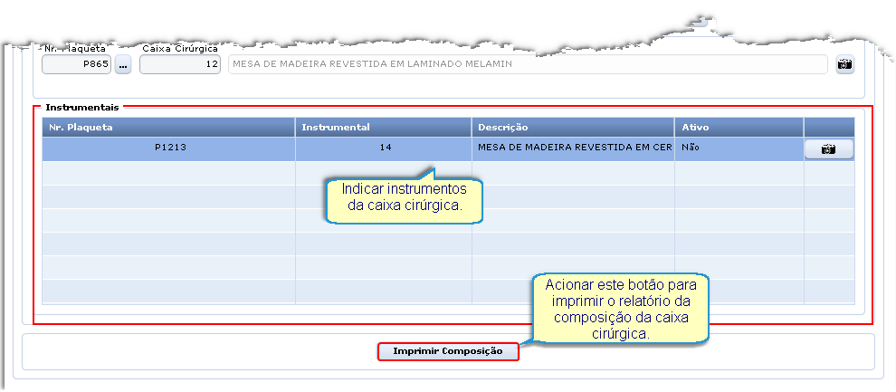 Instrumentais Informar o número da plaqueta (número gravado no instrumental - Bem Patrimonial).