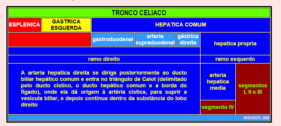 Revisão