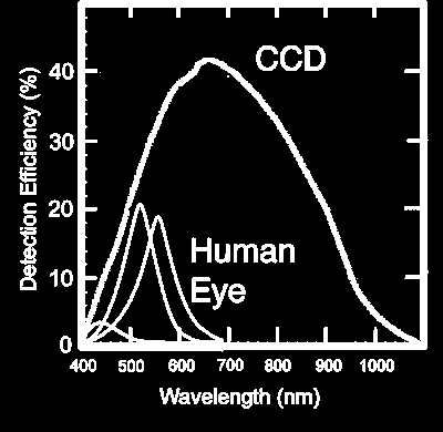SENSIBILIDADE DO OLHO COMPARADA COM A DO SENSOR: Além da luz visível, os sensores podem perceber outras