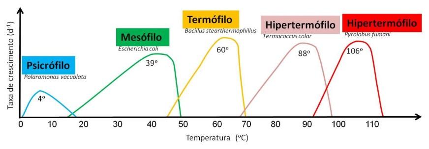 4 Temperatura Dentre os fatores físicos que interferem no desenvolvimento dos microorganismos anaeróbios, a temperatura é considerada como um parâmetro de suma importância, visto que os