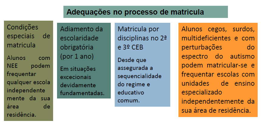 Poderão ser introduzidas disciplinas ou áreas curriculares específicas, designadamente Língua Gestual Portuguesa (L1) e Língua Portuguesa/Português segunda língua, para alunos surdos (LP2), leitura e