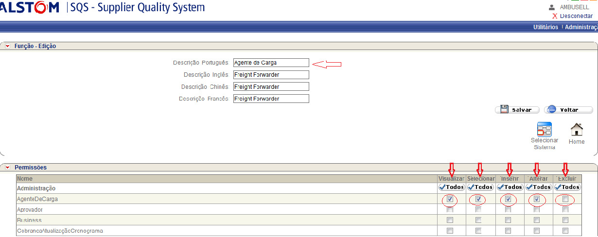 Para editar um registro, o usuário deve clicar no botão de Editar na coluna Ação