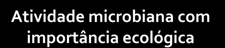Ciclos Biogeoquímicos atividades microbianas que mineralizam os nutrientes no solo e água.