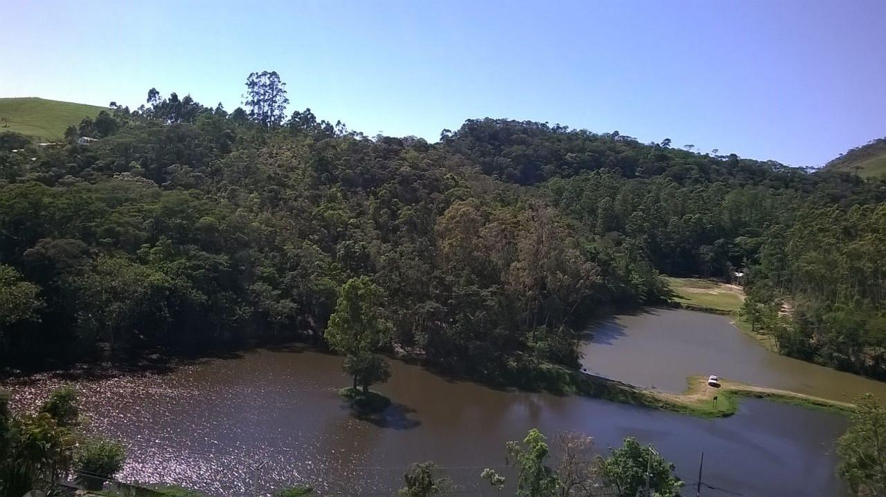 Proposta de Criação da Floresta