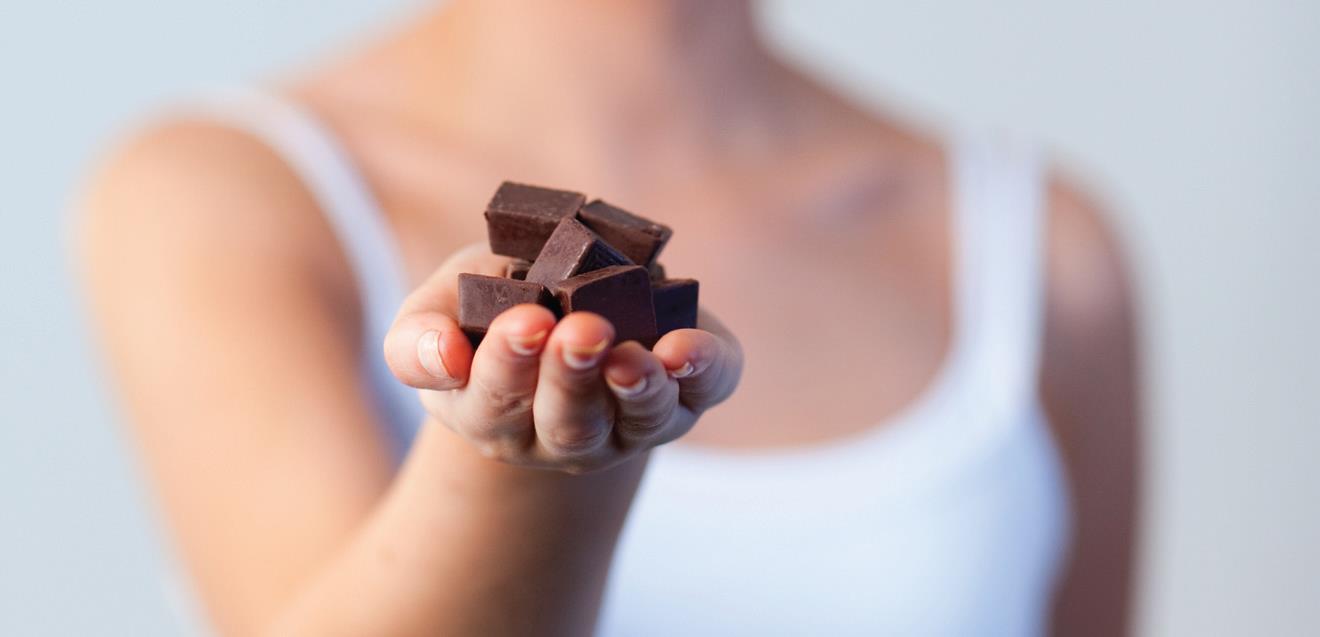 Informações Técnicas CHOCONUTRA Base de chocolates saudáveis e deliciosos INTRODUÇÃO A linha de