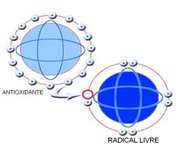 Teoria do Stress Oxidativo Processo oxidativo: Transferência de elétrons dos substratos energéticos para o O² (cadeia respiratória) Os elétrons são aceitos pelo O² (O² + H² = H²O) no final da cadeia