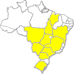 Distribuição de Raças no Brasil MA 5,6,9 MT 1,2,3,4, 4 +, 5, 6, 9, 9 +,10,14,14 + MS