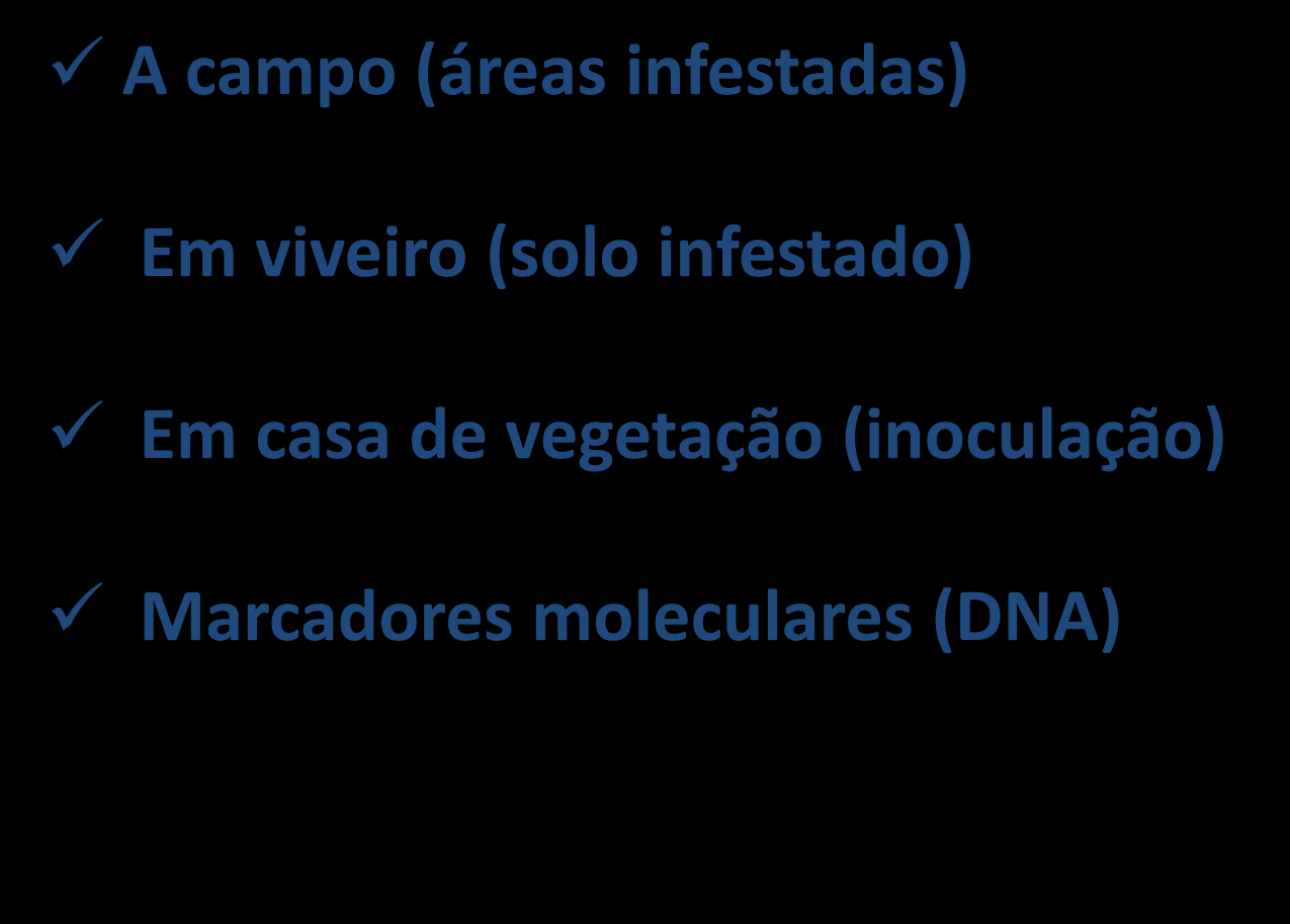 Avaliação da Resistência A campo (áreas infestadas) Em viveiro (solo