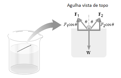 Exemplo: Uma agulha de 3,2 cm de comprimento é colocada delicadamente sobre a água em um béquer (σ = 0,073 N/m). Se não for muito pesada a agulha não afundará.