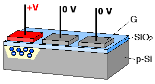 A superfície do CCD é recoberta por minúsculas células, chamadas pixels, formadas por materiais fotossensíveis, assim, quando os fótons a encontram elétrons serão energizados, saindo