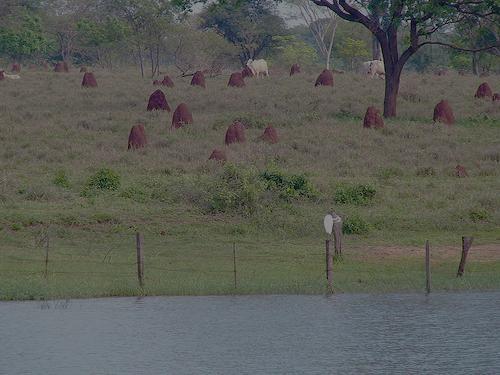 BAIXA OU NENHUMA EFICIÊNCIA AGRICULTURA ÁREAS DE : SOLOS FÉRTEIS RELEVO