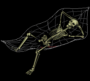 As ligações entre os ossos do esqueleto que permitem a mobilidade são as articulações.