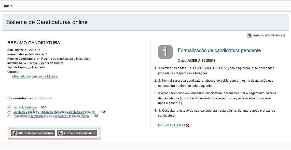 Etapa: Resumo da candidatura (Formalização da candidatura) Caso esteja tudo correcto o candidato deverá seleccionar Formalizar