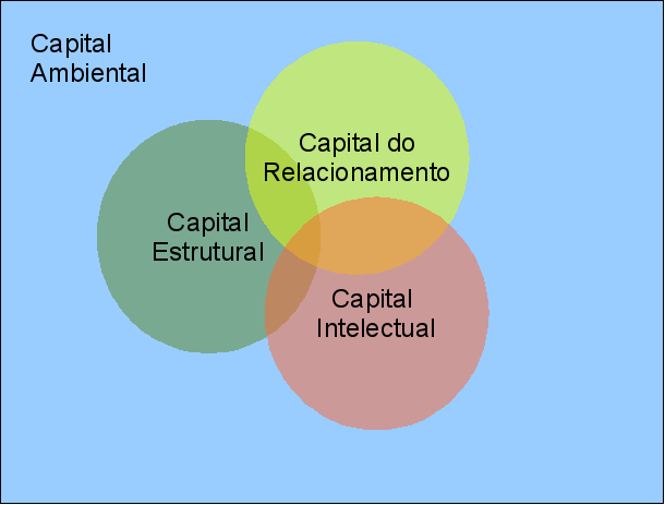 4 Capitais do conhecimento 15 Fonte: Cavalcante, Gomes e Pereira em Gestão de Empresas na sociedade do conhecimento,