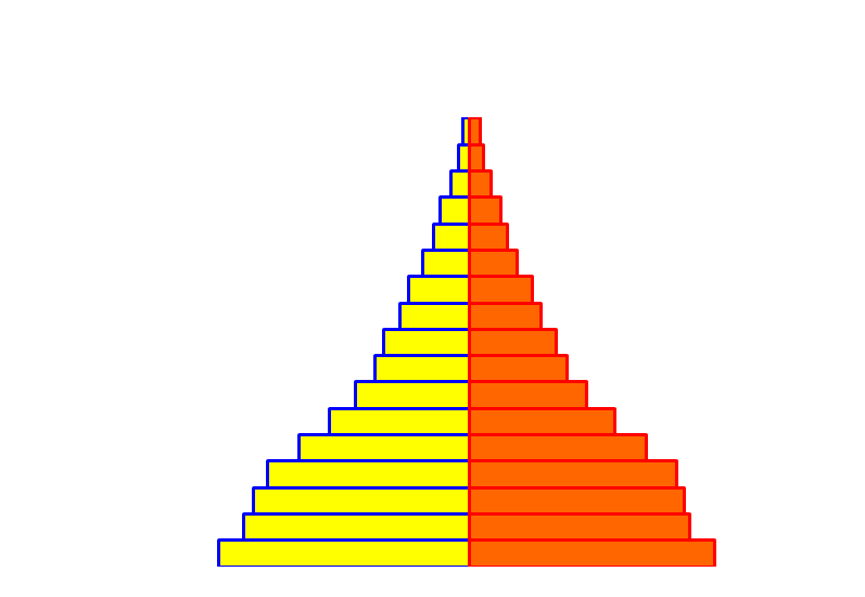 Pirâmide Populacional, 1980 2050