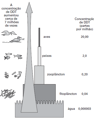 Substâncias cumulativas: DDT Toda substância que não é biodegradável se acumula nos seres vivos