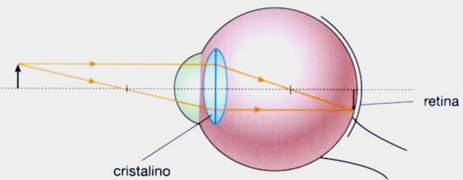 EXEMPL DE APLICAÇÃ DAS LENTES CNVERGENTES bjeto além do ponto antiprincipal objeto (A): Tanto