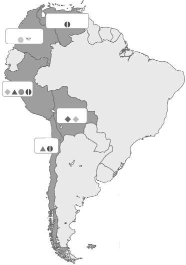 5ª Questão: Observe o mapa abaixo. O mapa acima mostra uma importante ligação entre um país vizinho com o Brasil. Assinale a alternativa correta.