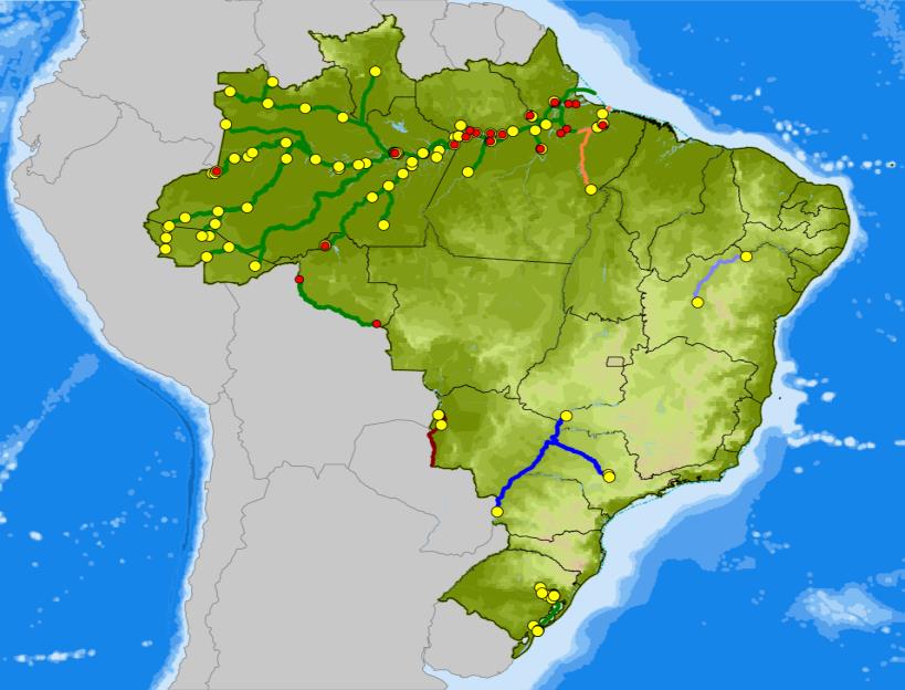 28 Brasil: Vias economicamente navegáveis 2011 Unidade: KM LEGENDA Instalações portuárias de carga Instalações portuárias de passageiros Total: 20.956 N 1:27.602.