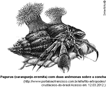 12. (Fatec) O crustáceo do gênero Pagurus, conhecido como caranguejo-eremita, ao contrário de outros caranguejos, não têm a carapaça rígida, conhecida como exoesqueleto.