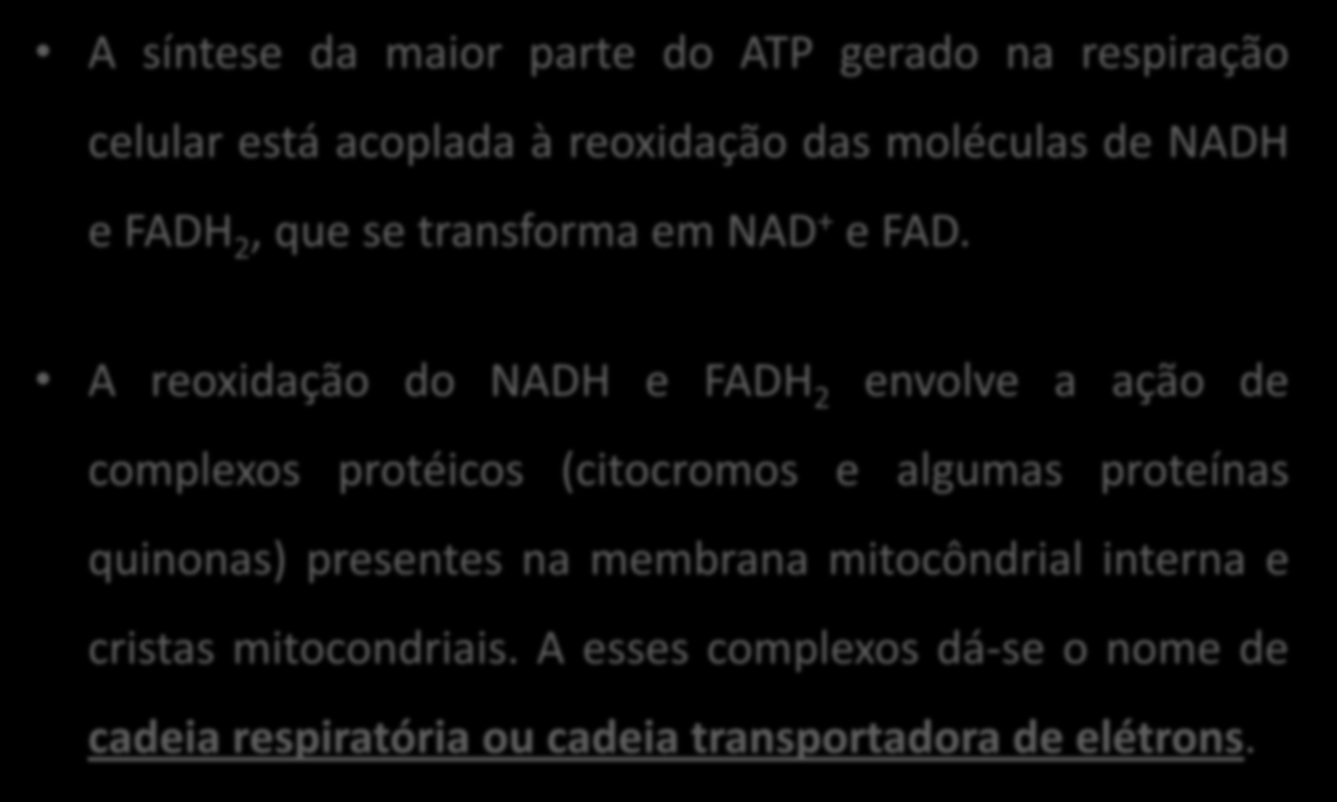 FOSFORILAÇÃO OXIDATIVA A síntese da maior parte do ATP gerado na respiração celular está acoplada à reoxidação das moléculas de NADH e FADH 2, que se transforma em NAD + e FAD.