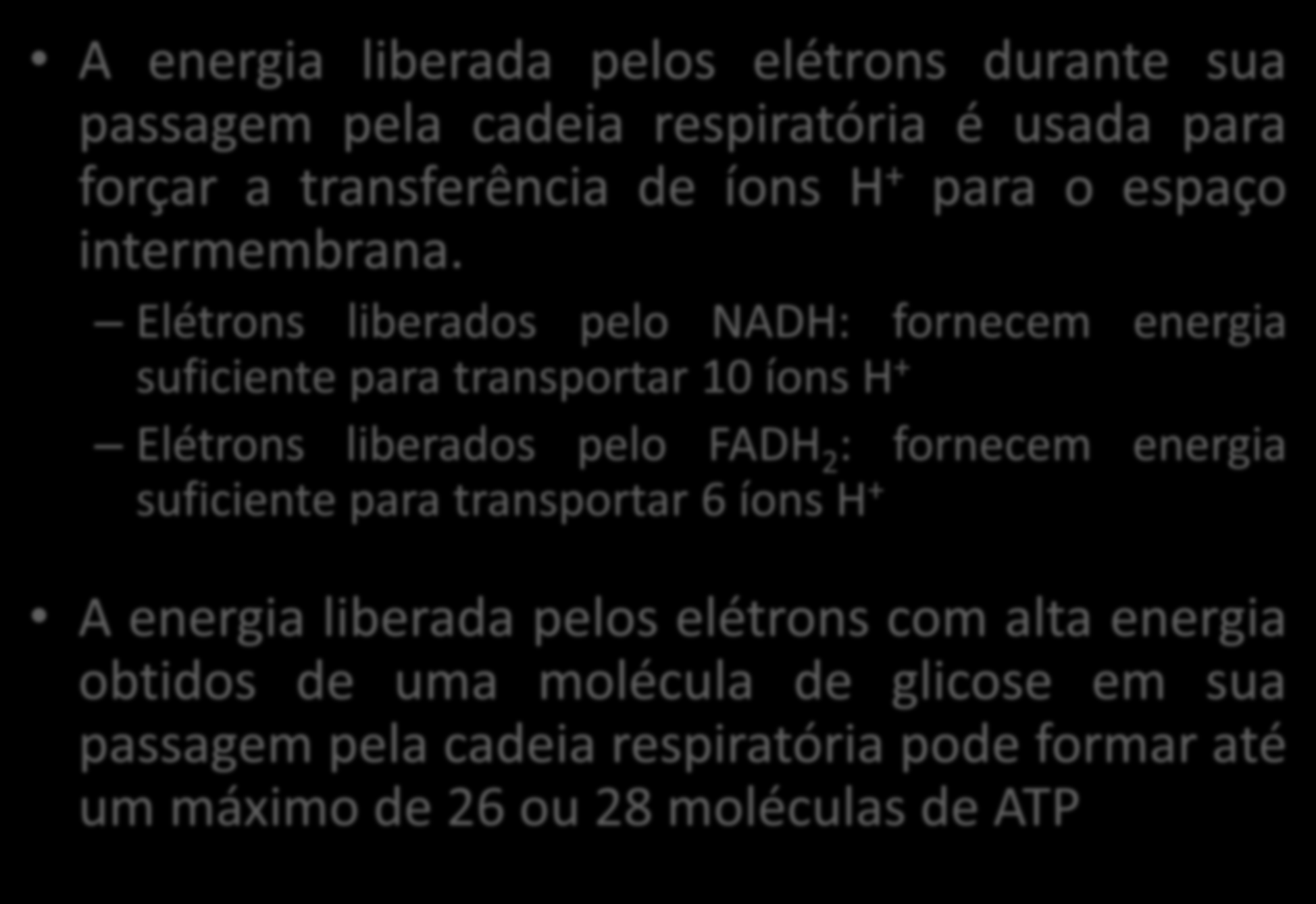 TEORIA QUIMIOSMÓTICA A energia liberada pelos elétrons durante sua passagem pela cadeia respiratória é usada para forçar a transferência de íons H + para o espaço intermembrana.