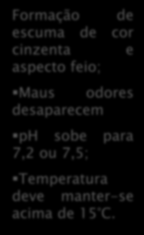 ESTABILIZAÇÃO ANAERÓBIA: transforma compostos orgânicos complexos em produtos mais simples. 1. Liquefação e formação de ácidos (bactérias acidogênicas) Conversão de M.