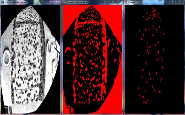 Figura 10 - Imagem calibrada, imagem intermediária, imagem filtrada - limiarização manual Figura 11 - Resultados utilizando limiarização manual Diversas imagens foram utilizadas e os resultados