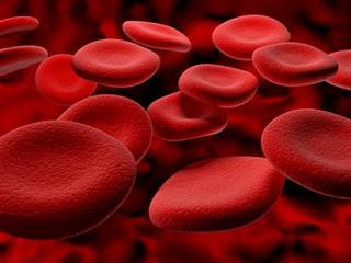 A Hemoglobina e as Hemoglobinopatias Glóbulos Vermelhos Molécula de Hb A = α2β2 Hemoglobinopatias Quantitativas - Talassémias ausência ou diminuição de síntese de uma cadeia globínica, ex: