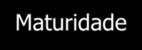 Agenda Governança de Tecnologia da Informação Acórdãos TCU Motivação Governança de TI no Supremo