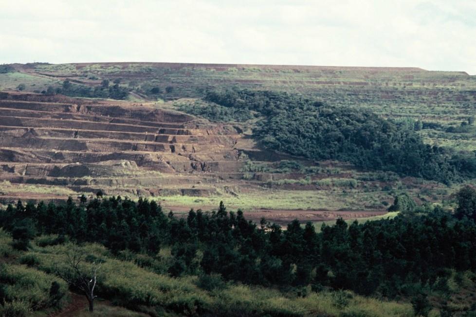 Reunião Ordinária de 12 de maio de 1989 Rejeita o EIA/RIMA da Rodovia do Sol e determina a