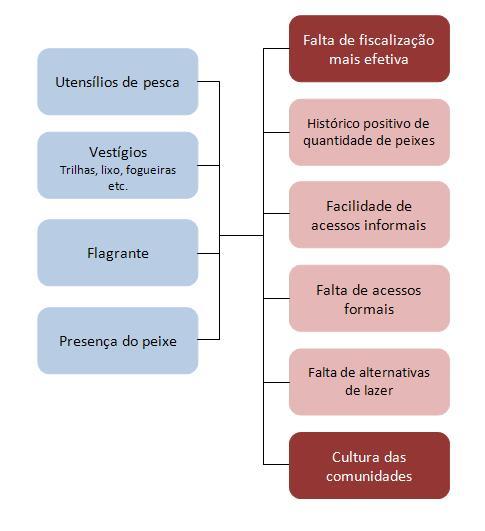 Quais são os descritores e causas (no