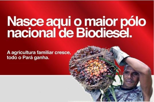 Áreas distantes para o abastecimento de óleo diesel Xenofobia botânica soja, dendezeiro, eucalipto, etc. (juta, pimenta do reino, laranjeira, mangueira, etc.