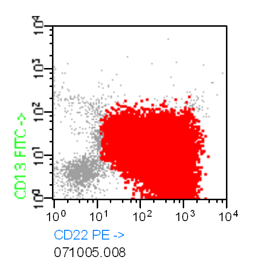 CD34++