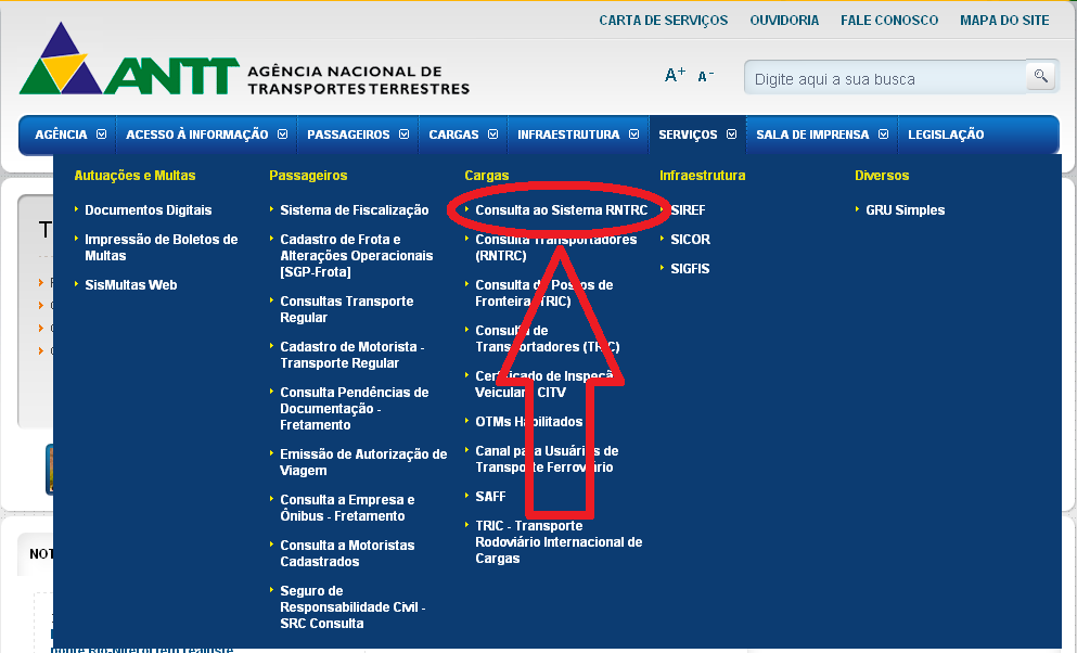 5 SISTEMA DE CONSULTA No endereço eletrônico http://rn3.antt.gov.