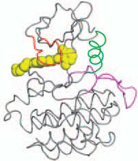 Figura 15 Estrutura molecular do dasatinib (Weisberg et al, 2007).
