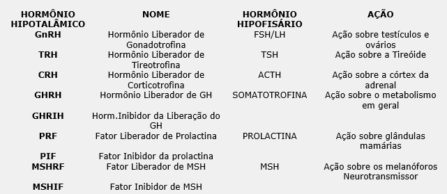 Hipotálamo e hipófise Unidade que exerce controle sobre a função de várias glândulas endócrinas: Tireoide; Adrenais e gônadas; Sistema nervoso + sistema endócrino: modulação de todos os processos