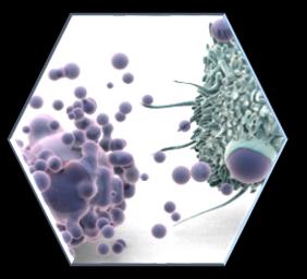 Síndrome coronária aguda Biomarcadores de lesão miocárdica Apoptose Normal turnover celular Aumento da permeabilidade da membrana celular
