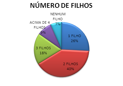 O vínculo empregatício mais uma vez nos remete o baixo nível de escolaridade, 31,13% exerce atividade profissional informal, ou seja, sem registro em carteira, o trabalho vem em seguida com 31,13%.