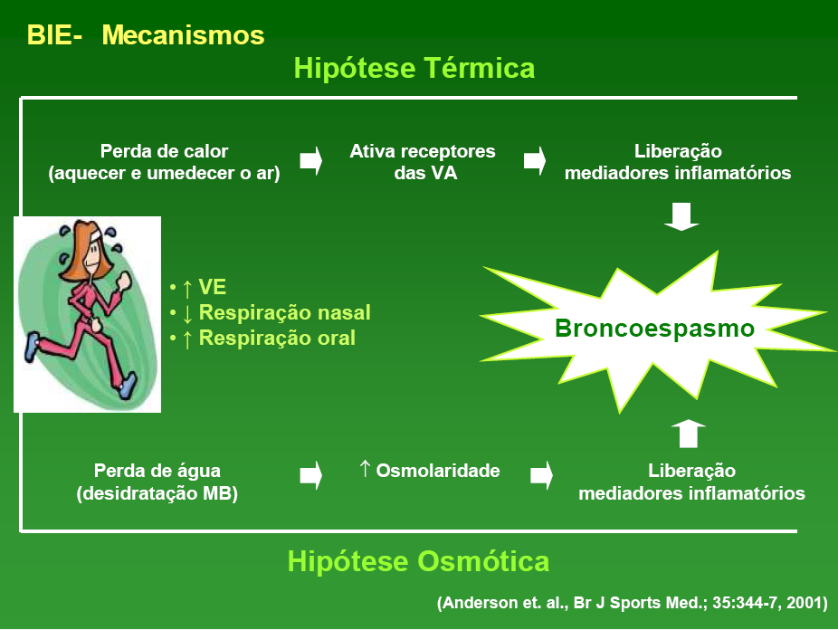 Broncoconstrição BIE Transitória 5 a 20 Regressão espontânea Etiopatogenia Dispnéia Aperto no peito Tosse Dificuldade de inspirar profundamente Sibilos O exato mecanismo não está ainda totalmente