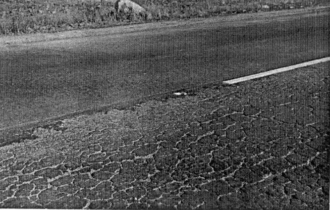 TRINCAS COURO DE JACARÉ - (Fadiga) SOLUÇÃO TEMPORÁRIA: tratamento superficial Evitar tráfego em cima do remendo até a cura total do asfalto.